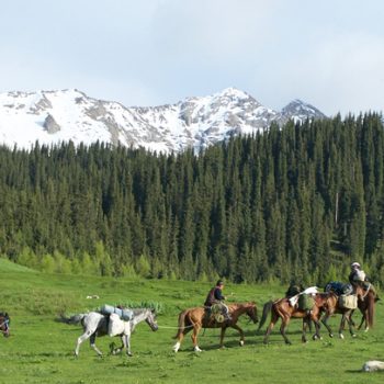 Horses are the best transport in mountains
