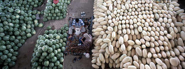 Fruit abundance of Uzbek Bazaar